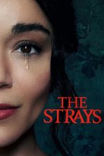 دانلود فیلم The Strays 2023 با زیرنویس چسبیده دانلود فیلم The Strays 2023 با زیرنویس چسبیده