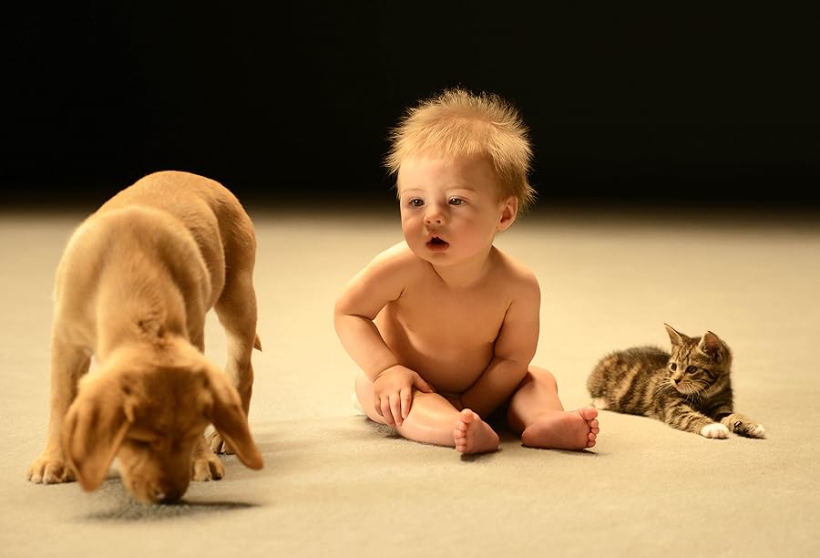 دانلود فیلم Secret Life of Babies 2014