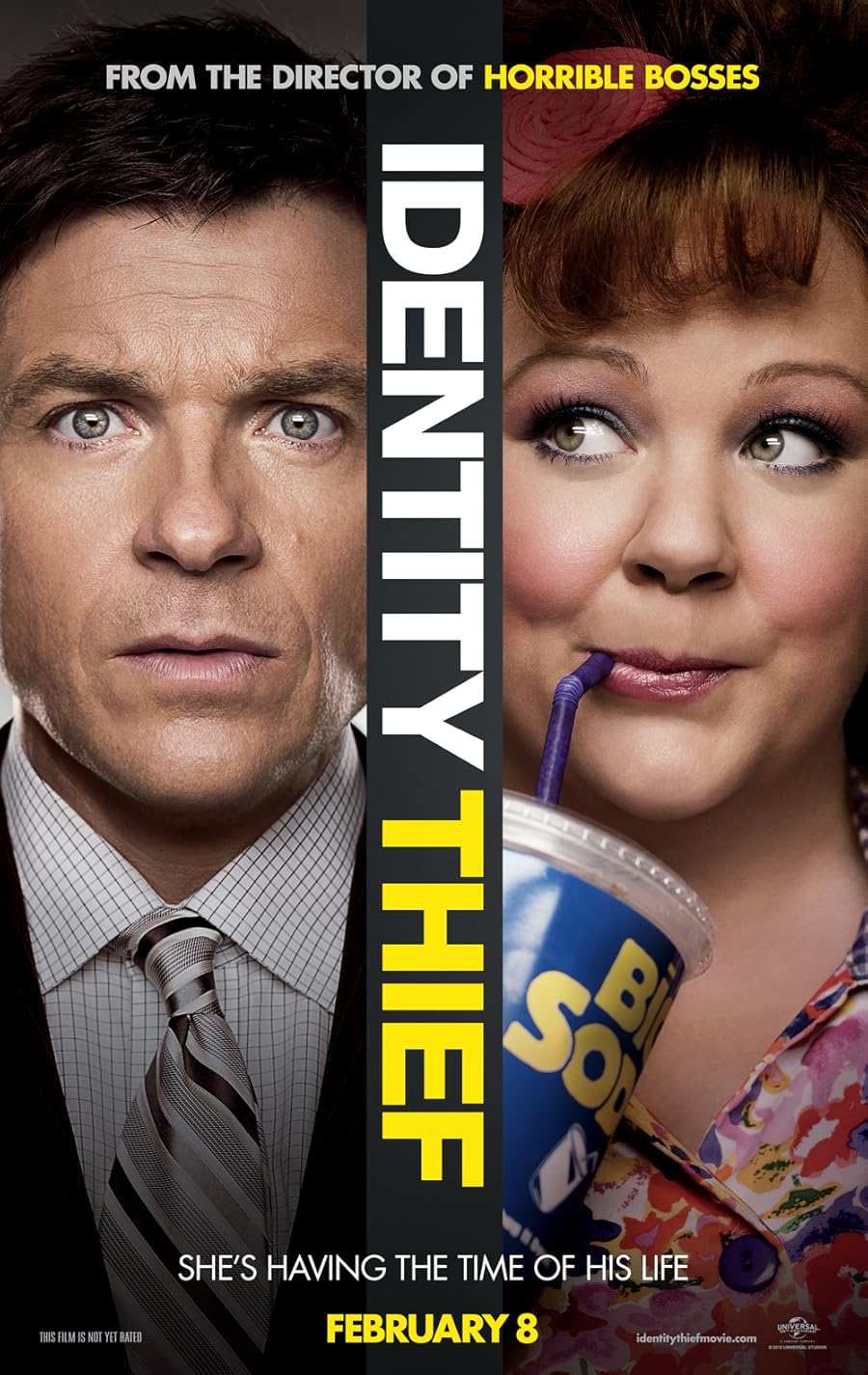 دانلود فیلم Identity Thief 2013 با زیرنویس فارسی چسبیده